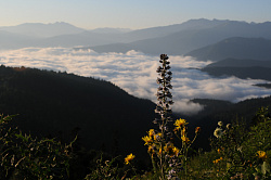 Этот красивый пейзаж с облаками в горах снят на турмаршруте Знаменитая Тридцатка - легендарный маршрут 30. Автор фото пейзаж с облаками Черных В.Е.