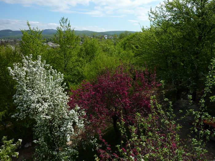 Краски природы фото от СВ-Астур, яркие краски весны и природы