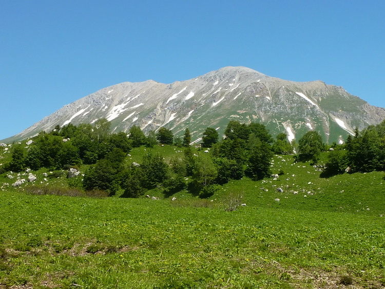 Гора дзержинская фото