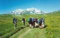 Туристы маршрута 30 между Абадзешским и Инструкторским перевалом, впереди гора Оштен.