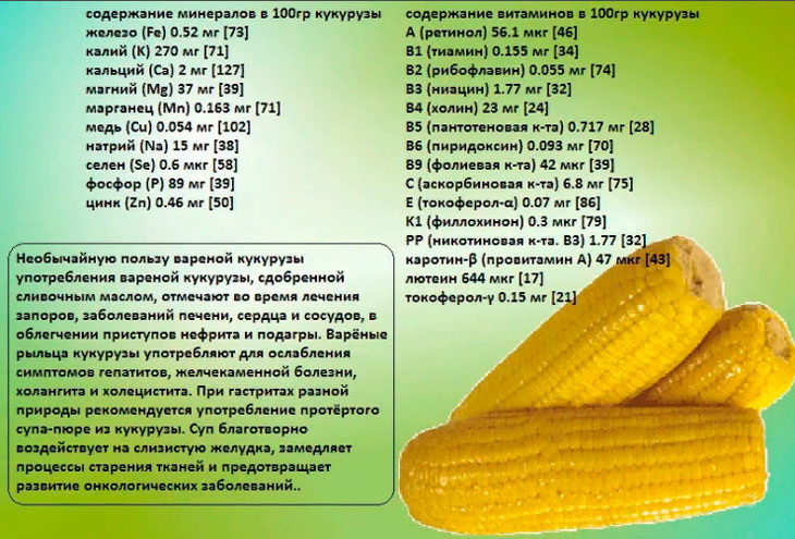 Полезные свойства кукурузы для организма человека