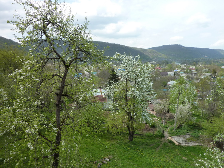 Весна в горах Адыгее в Хаджохе - Каменномостский