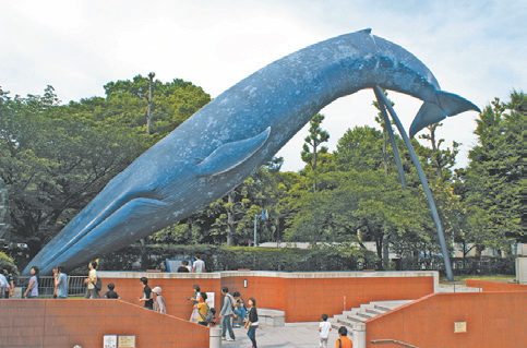 Япония, Токио. Скульптура кита в натуральную величину (Токио
