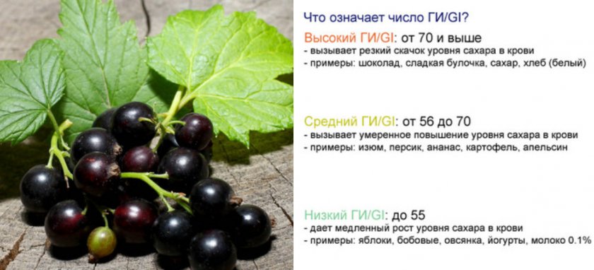Полезные свойства черной смородины. Польза листьев черной смородины