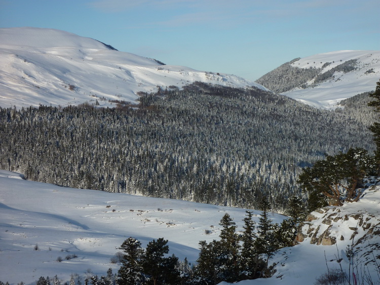 фото природы нагорья Лагонаки зимой