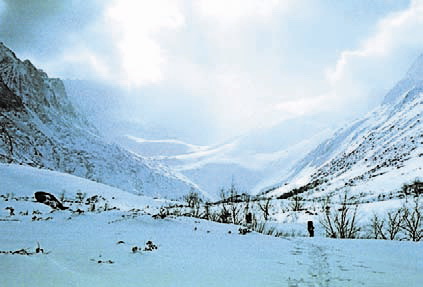 Байкальский хребет зимой
