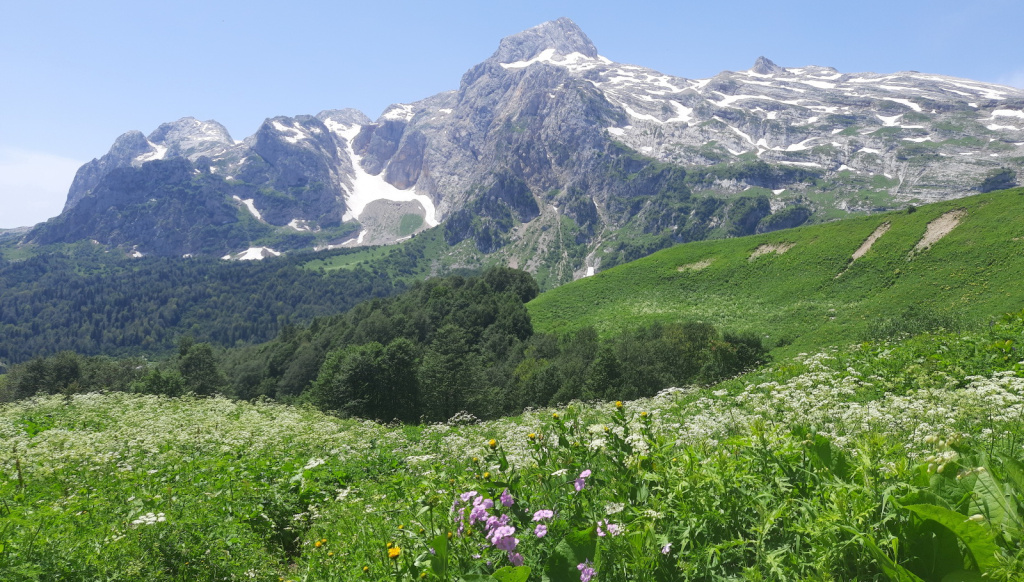 Гора Фишт, Адыгея