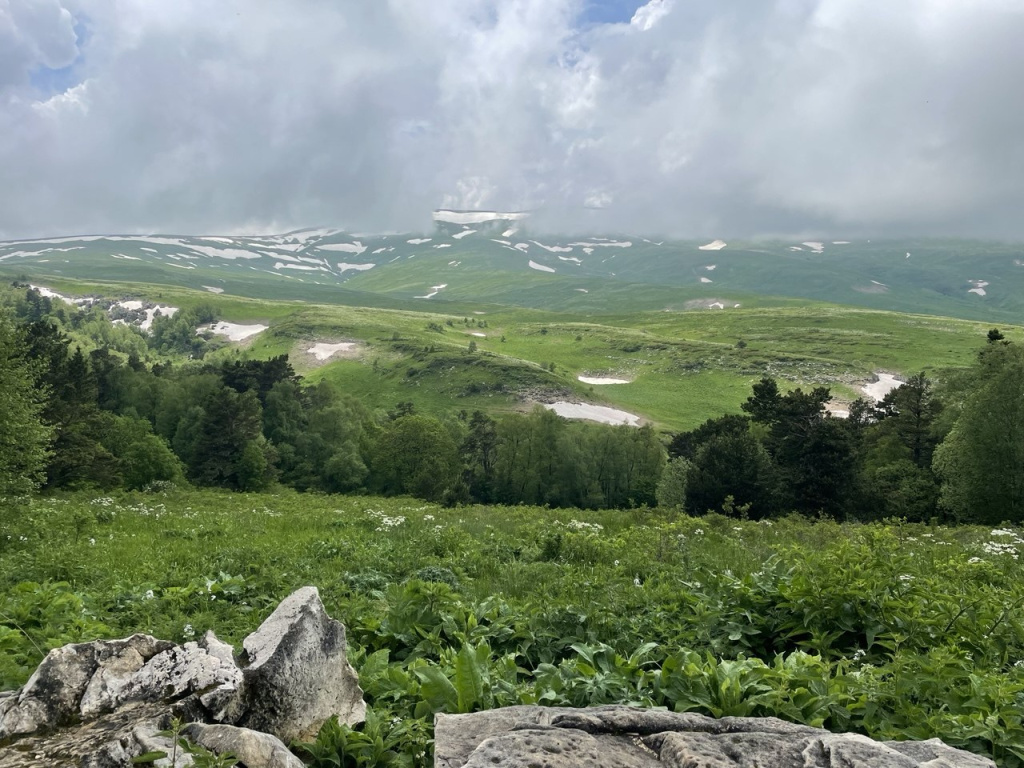 Альпийские луга Адыгеи и Лагонаки