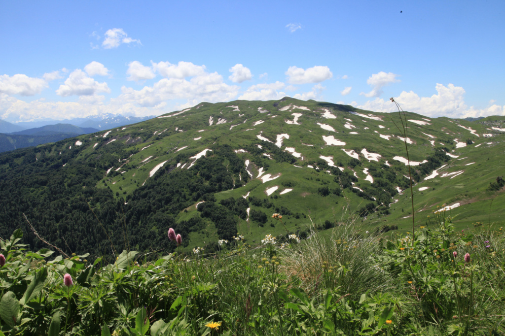 Гора Гузерипль, Адыгея