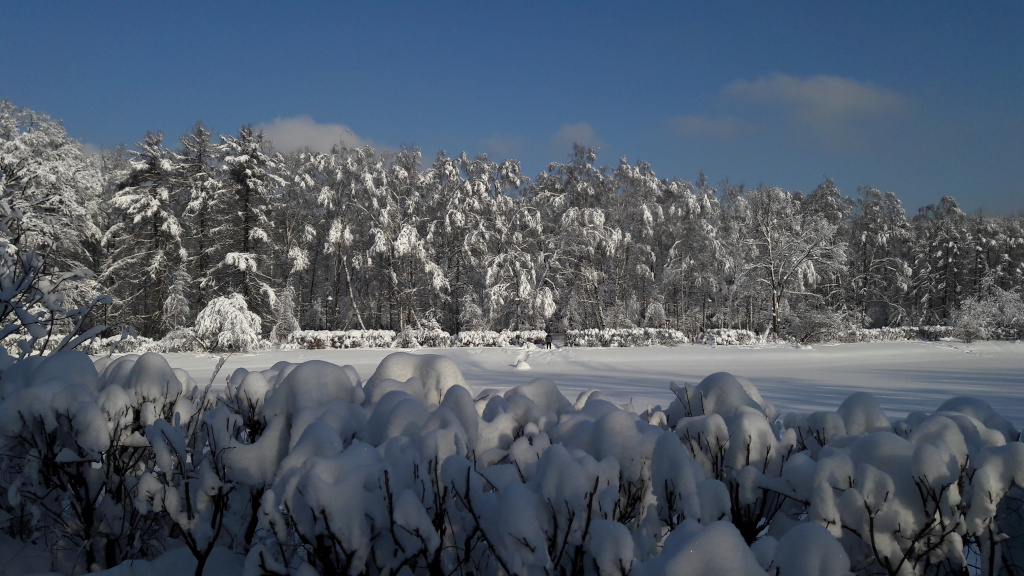 Москва зимой, парк Сокольники, фото Золотой пруд, зимняя Москва