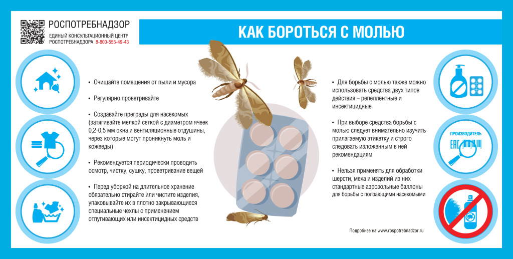 Как бороться с молью