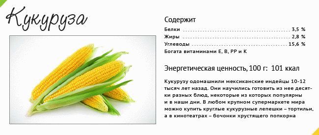 Чем полезна кукуруза