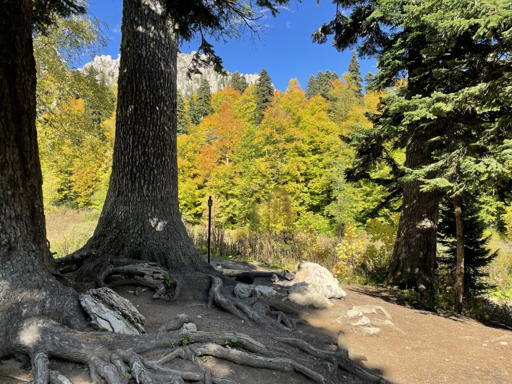 Поляна приюта Армянский, маршрут 30