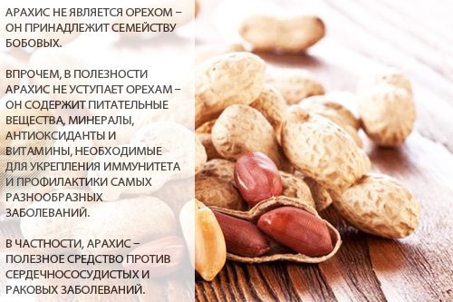 Чем полезен арахис. Полезные свойства арахиса для организма человека