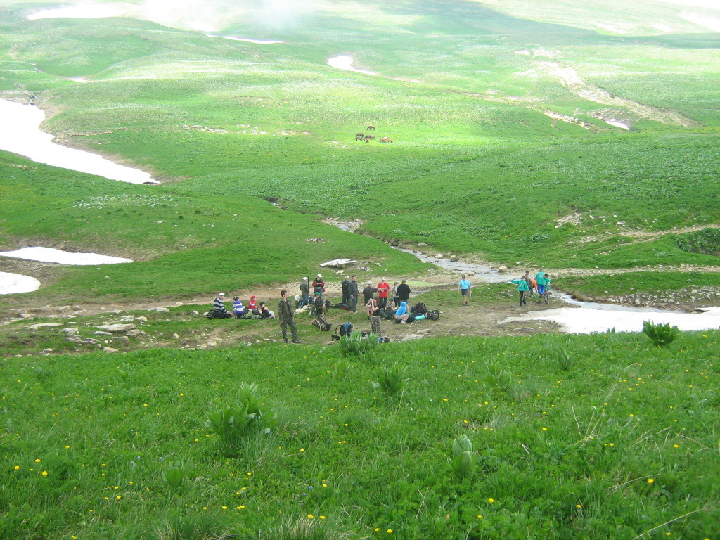 Альпийские луга