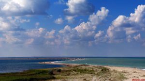 Каркинитский залив, Черное море