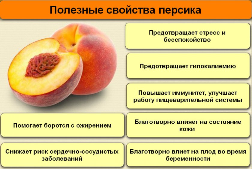 Чем полезны персики. Польза персиков для организма человека