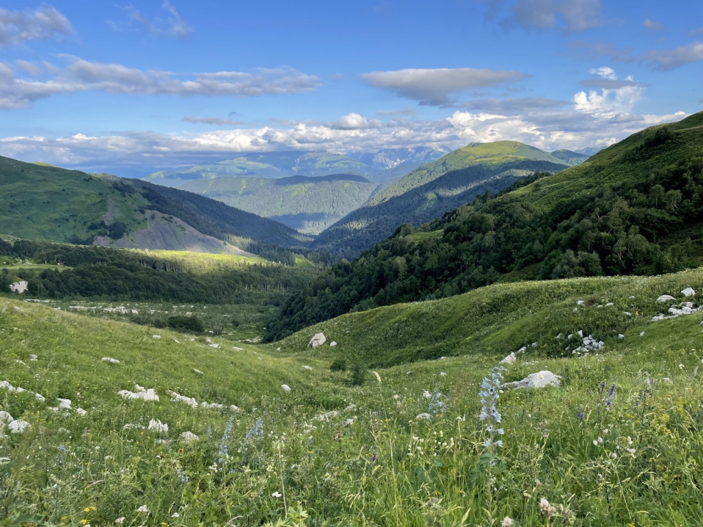 На дальнем фоне горная тайга