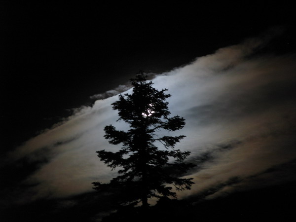Природа ночью в горах Адыгеи