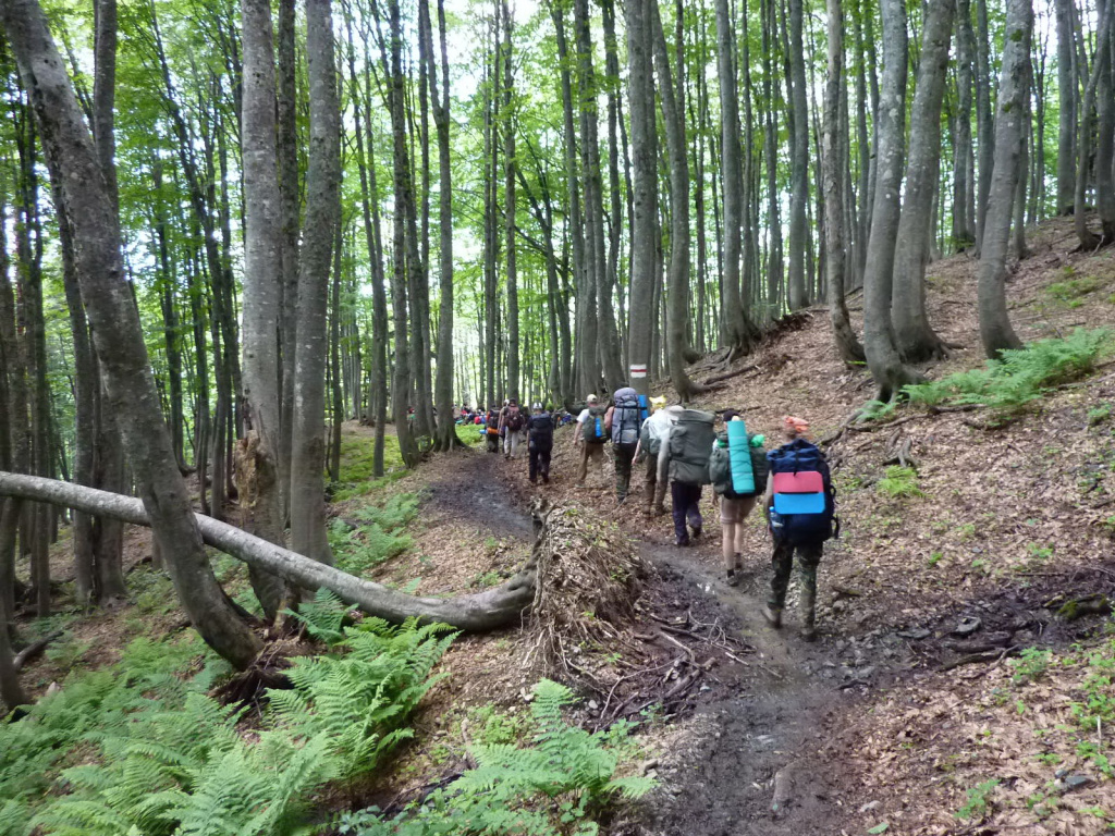 Поход в лесу, тур маршрут 30 через горы к морю