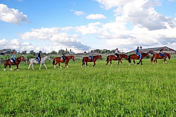 Конные туры