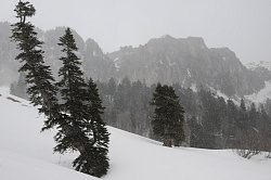 Фото Зима в горах, автор фото Черных В.Е.