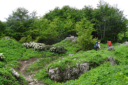 Тропа маршрута 30 через горы к морю тур поход Адыгея