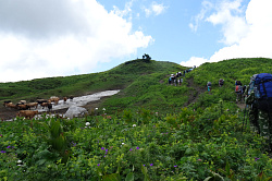 Знаменитый тур маршрут 30 через горы к морю пеший поход из Адыгеи