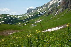 Пейзаж с цветами в горах на маршруте 30-ка через горы к морю