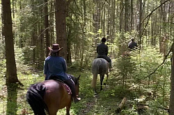 Отдых с лошадьми