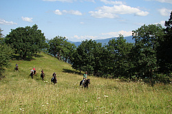 Конный туризм и отдых