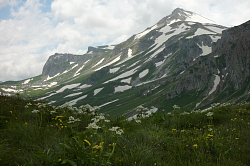 Горный пейзаж с желтыми и белыми цветами, маршрут 30 через горы к морю