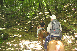 Конный отдых