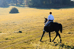 Конная прогулка