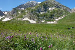 Пейзаж с горой и цветами, маршрут 30 через горы к морю тур поход
