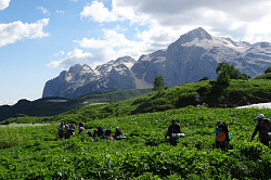 Горный тур маршрут 30-ка пешком через горы к морю поход в Адыгее