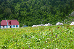Походный лагерь в горах на маршруте 30 приют Фишт тур через горы к морю
