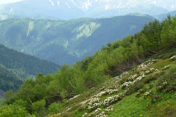 Пейзаж в горах весной
