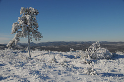 Это фото красивого зимнего пейзажа снял профессиональный фотограф Черных В.Е. - мастер в съемке пейзажа.