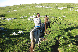 Отдых с лошадьми