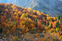 Это пейзаж золотой осени в горах Адыгеи.