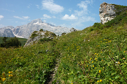 Белые цветы в горах, маршрут 30 через горы к морю