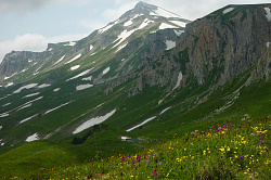 Желтые и красные цветы на фоне гор, маршрут 30 через горы к морю