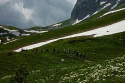 Цветение альпийских лугов, маршрут 30 через горы к морю
