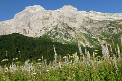 Пейзаж горы в Адыгее, маршрут 30 через горы к морю тур поход