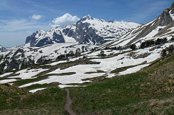Тропа в горах весной