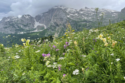 Маршрут 30 - природа, поход через горы к морю