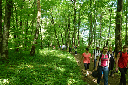 Это прогулки по лесу в курорте Хаджох. Оздоровительные прогулки в лесу эффективно восстанавливают здоровье человека.