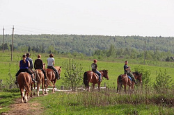Конные прогулки