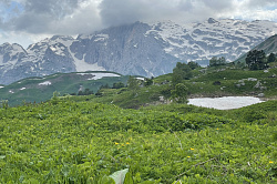 Альпийский луг, тур маршрут 30 через горы к морю поход
